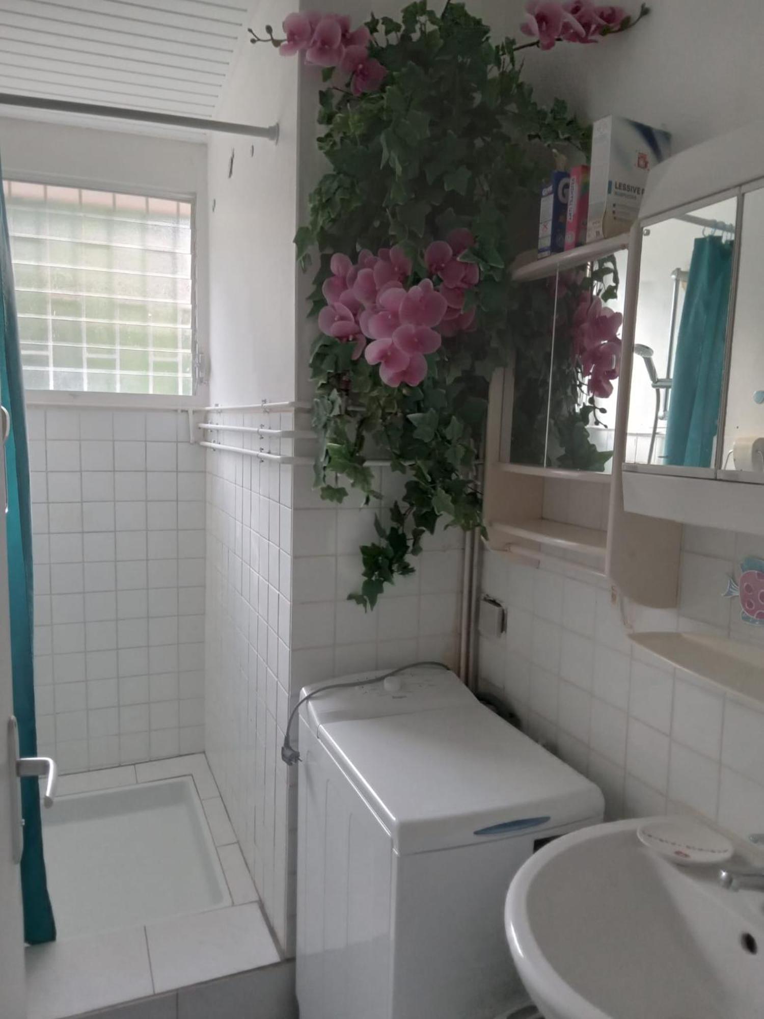 Les Orchidees Apartment Сент-Ан Екстериор снимка
